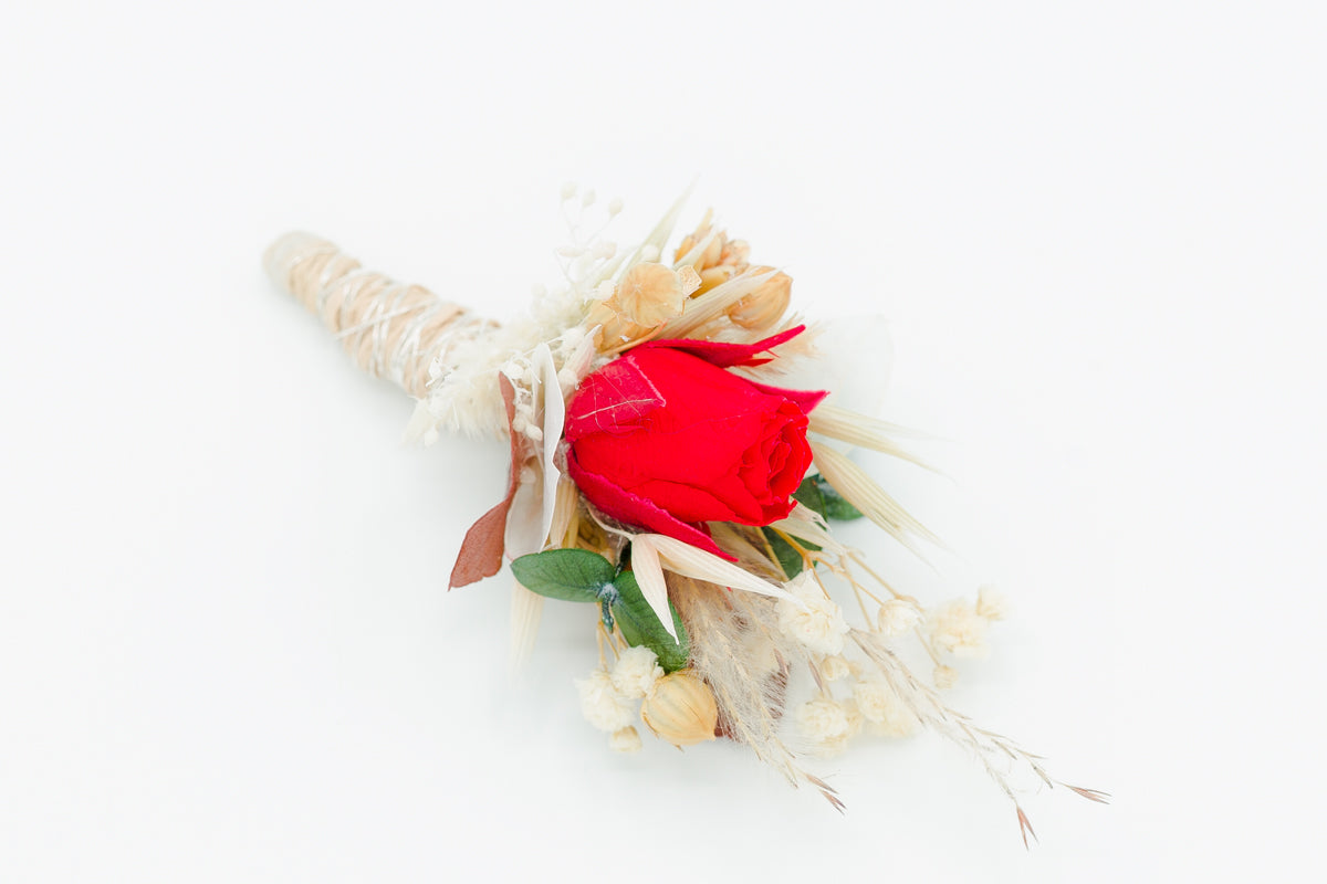 bräutigam ansteckblume rot