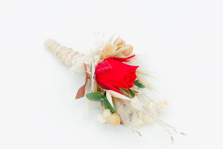 bräutigam ansteckblume rot