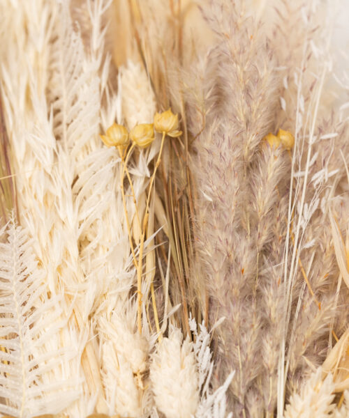 Trockenblumen Fächer hochzeit