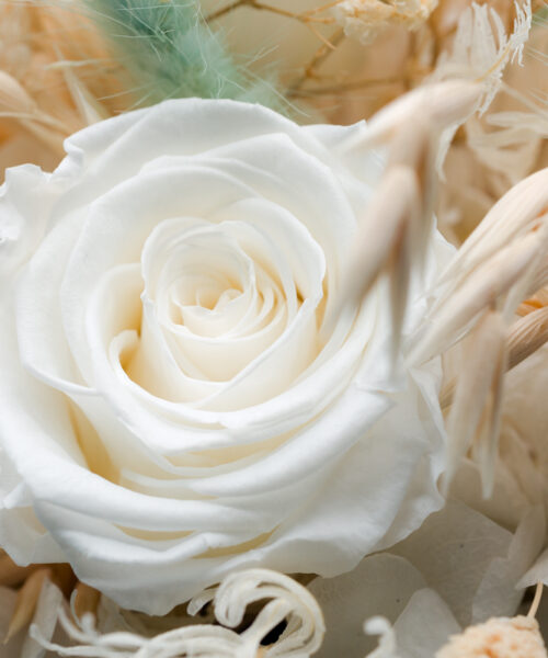 brautstrauß trockenblumen